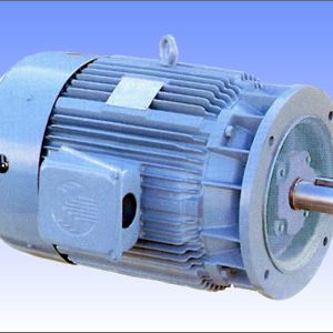ELECTRIC MOTOR WITH FRANGE (HYOSUNG)